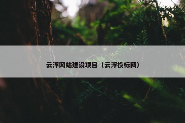 云浮网站建设项目（云浮投标网）