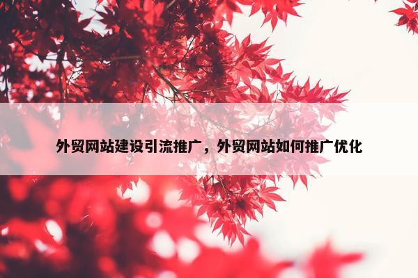 外贸网站建设引流推广，外贸网站如何推广优化