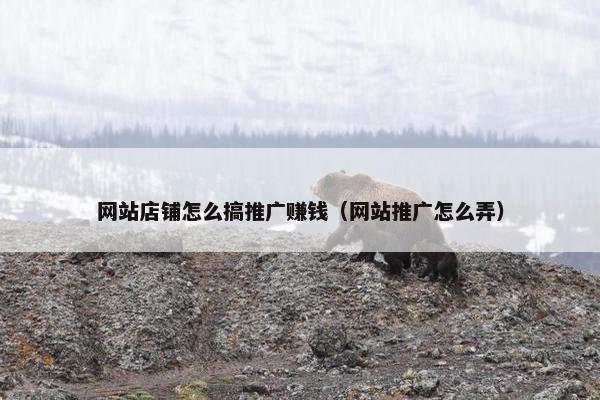 网站店铺怎么搞推广赚钱（网站推广怎么弄）