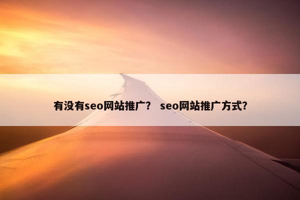 有没有seo网站推广？ seo网站推广方式？