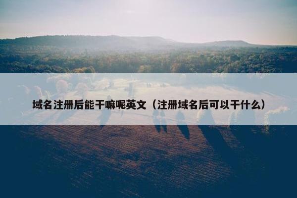 域名注册后能干嘛呢英文（注册域名后可以干什么）