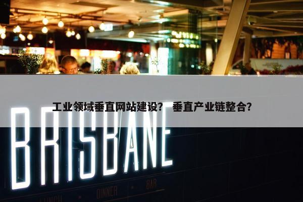 工业领域垂直网站建设？ 垂直产业链整合？