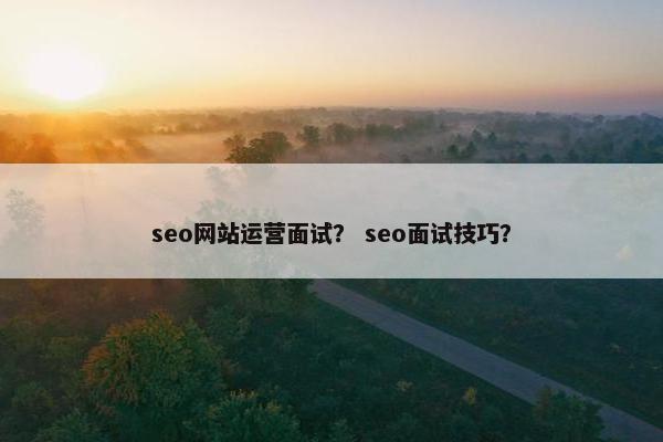 seo网站运营面试？ seo面试技巧？