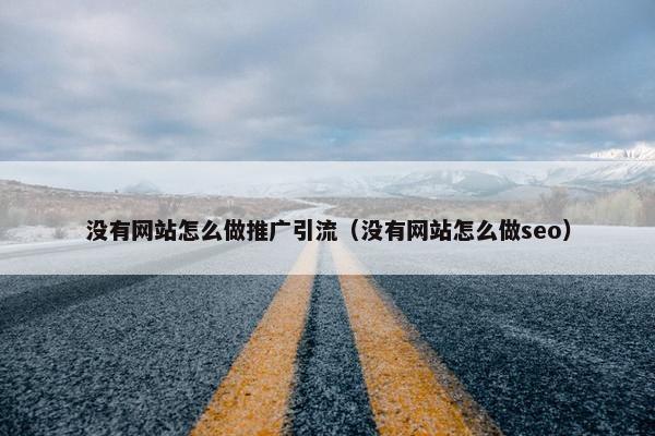 没有网站怎么做推广引流（没有网站怎么做seo）