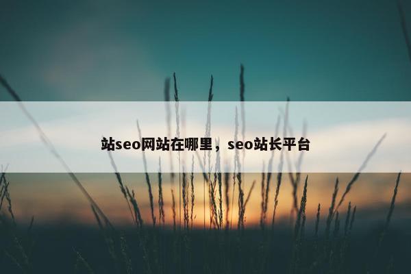 站seo网站在哪里，seo站长平台