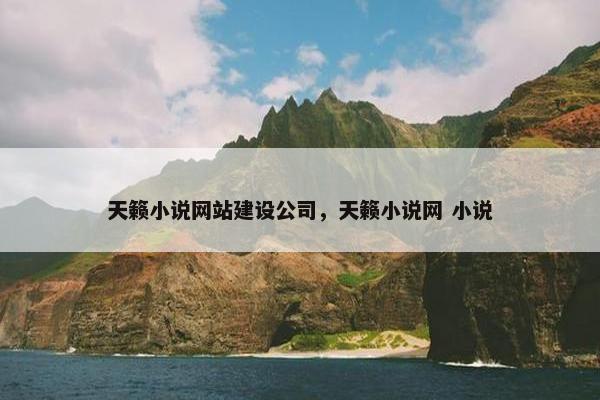 天籁小说网站建设公司，天籁小说网 小说