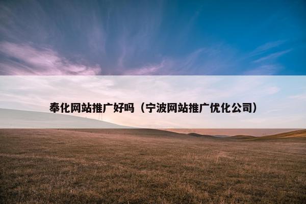 奉化网站推广好吗（宁波网站推广优化公司）