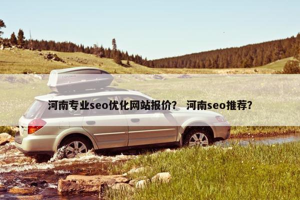 河南专业seo优化网站报价？ 河南seo推荐？