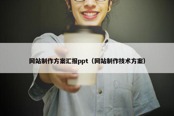 网站制作方案汇报ppt（网站制作技术方案）