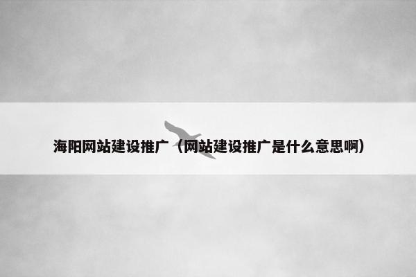 海阳网站建设推广（网站建设推广是什么意思啊）