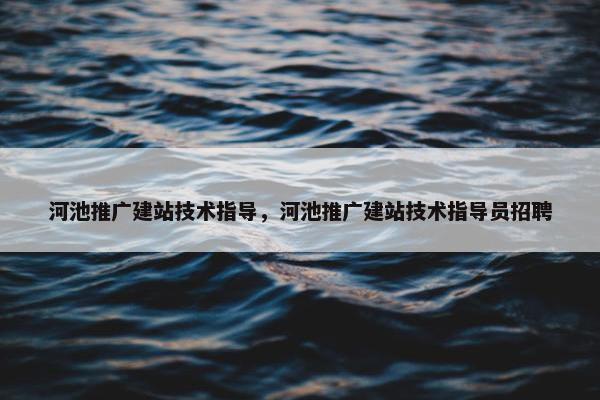 河池推广建站技术指导，河池推广建站技术指导员招聘