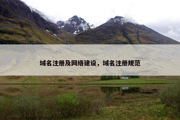 域名注册及网络建设，域名注册规范