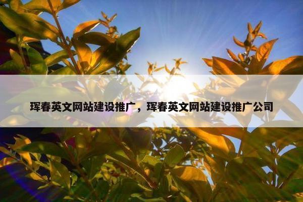 珲春英文网站建设推广，珲春英文网站建设推广公司