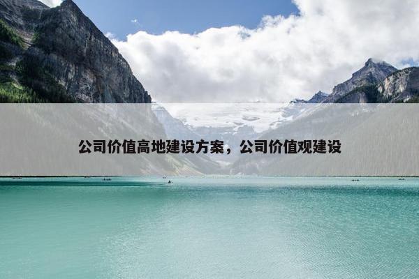 公司价值高地建设方案，公司价值观建设