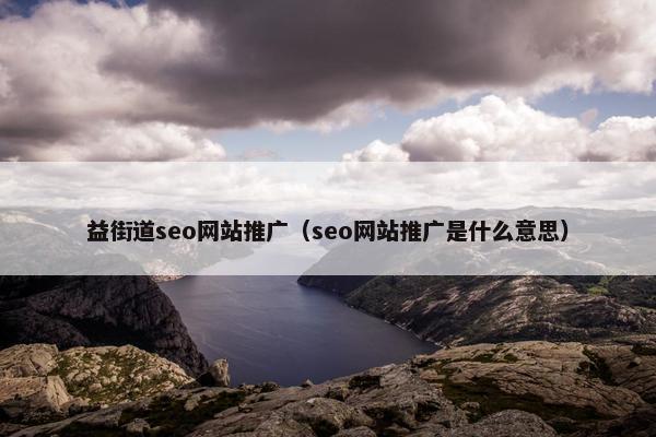 益街道seo网站推广（seo网站推广是什么意思）