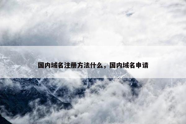 国内域名注册方法什么，国内域名申请