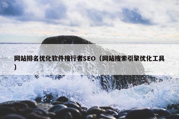 网站排名优化软件搜行者SEO（网站搜索引擎优化工具）