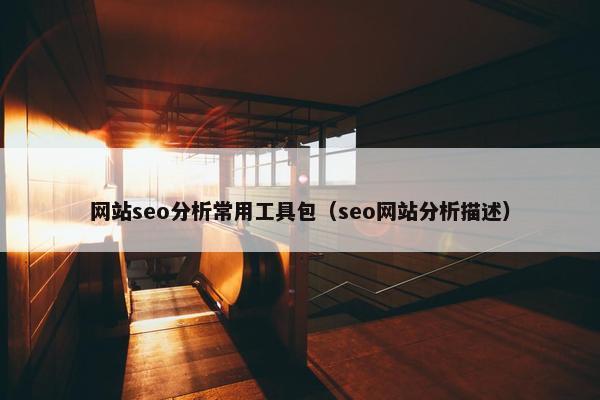 网站seo分析常用工具包（seo网站分析描述）