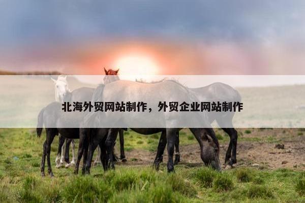 北海外贸网站制作，外贸企业网站制作