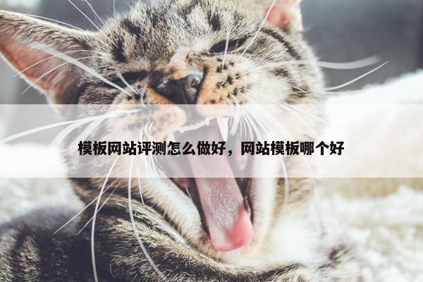 模板网站评测怎么做好，网站模板哪个好