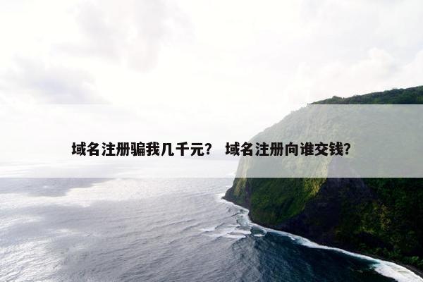 域名注册骗我几千元？ 域名注册向谁交钱？