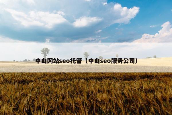 中山网站seo托管（中山seo服务公司）