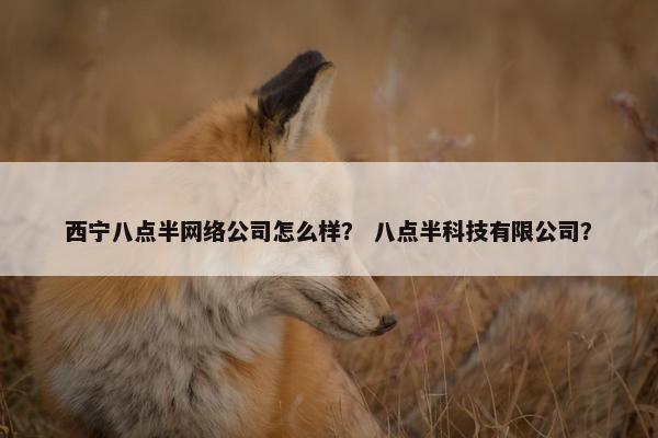 西宁八点半网络公司怎么样？ 八点半科技有限公司？