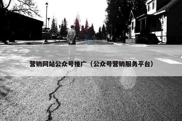 营销网站公众号推广（公众号营销服务平台）