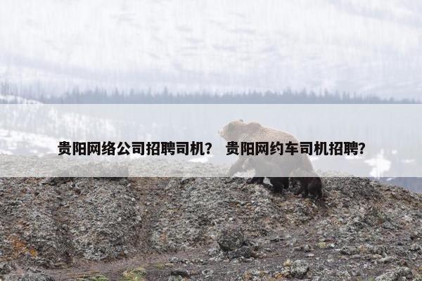 贵阳网络公司招聘司机？ 贵阳网约车司机招聘？