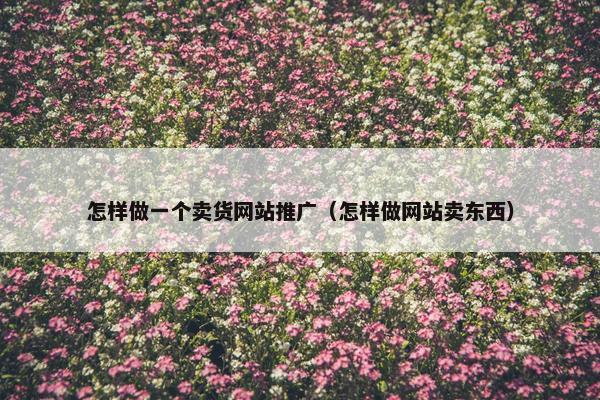 怎样做一个卖货网站推广（怎样做网站卖东西）