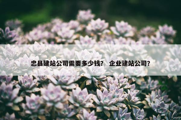 忠县建站公司需要多少钱？ 企业建站公司？