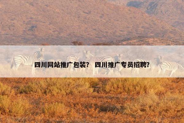 四川网站推广包装？ 四川推广专员招聘？