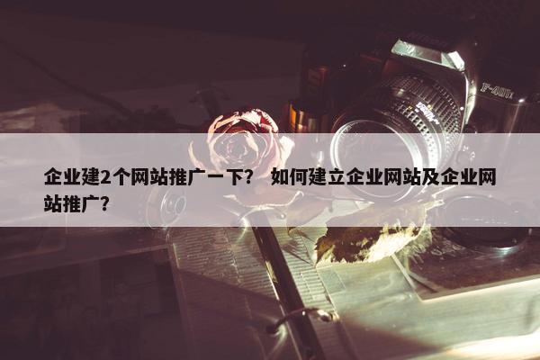 企业建2个网站推广一下？ 如何建立企业网站及企业网站推广？