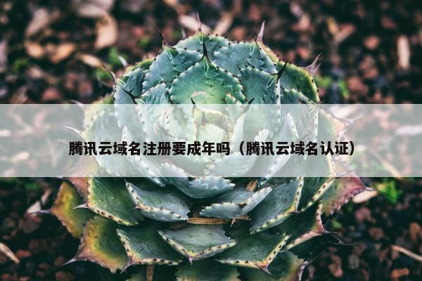 腾讯云域名注册要成年吗（腾讯云域名认证）