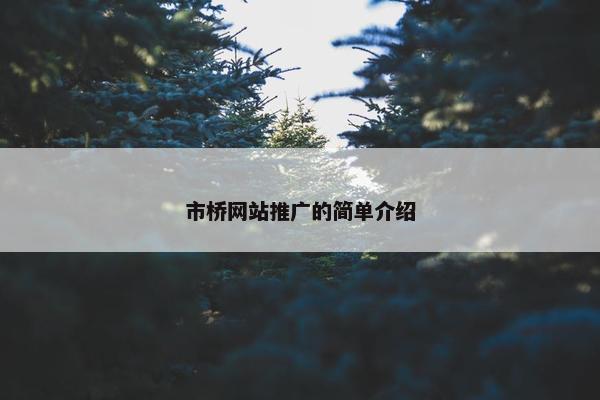 市桥网站推广的简单介绍