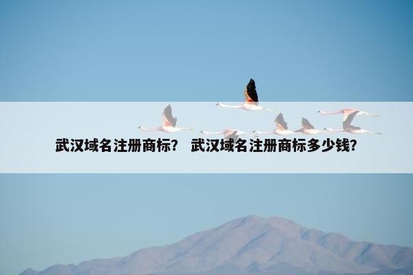 武汉域名注册商标？ 武汉域名注册商标多少钱？