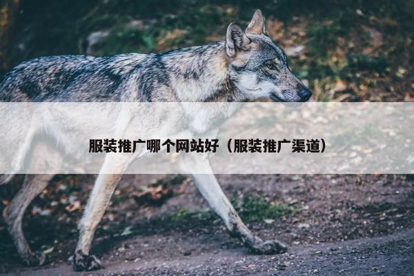 服装推广哪个网站好（服装推广渠道）