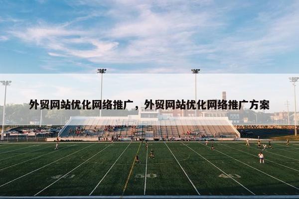 外贸网站优化网络推广，外贸网站优化网络推广方案