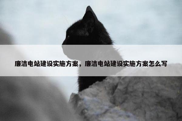 廉洁电站建设实施方案，廉洁电站建设实施方案怎么写