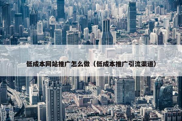 低成本网站推广怎么做（低成本推广引流渠道）