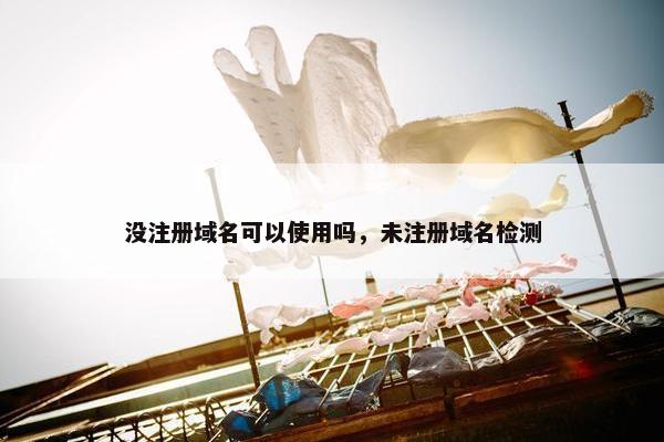 没注册域名可以使用吗，未注册域名检测