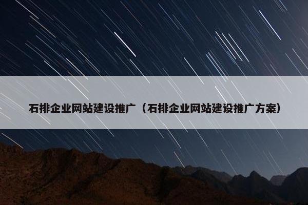 石排企业网站建设推广（石排企业网站建设推广方案）