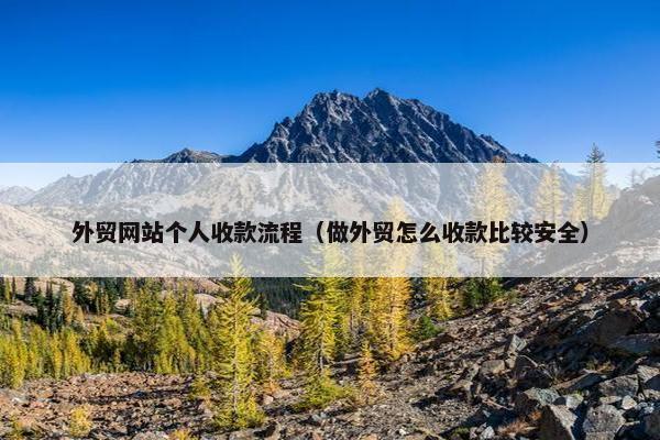 外贸网站个人收款流程（做外贸怎么收款比较安全）