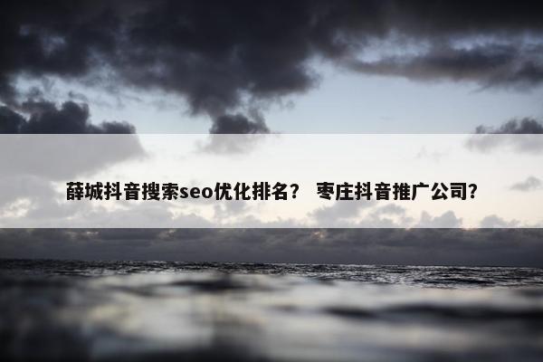 薛城抖音搜索seo优化排名？ 枣庄抖音推广公司？