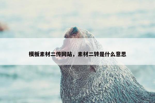 模板素材二传网站，素材二转是什么意思