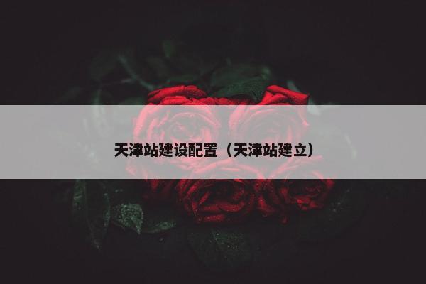 天津站建设配置（天津站建立）