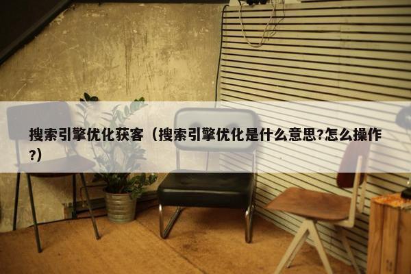 搜索引擎优化获客（搜索引擎优化是什么意思?怎么操作?）