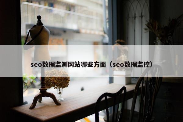 seo数据监测网站哪些方面（seo数据监控）