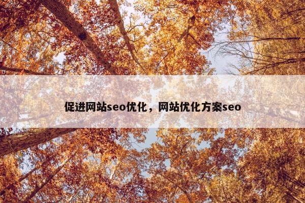 促进网站seo优化，网站优化方案seo