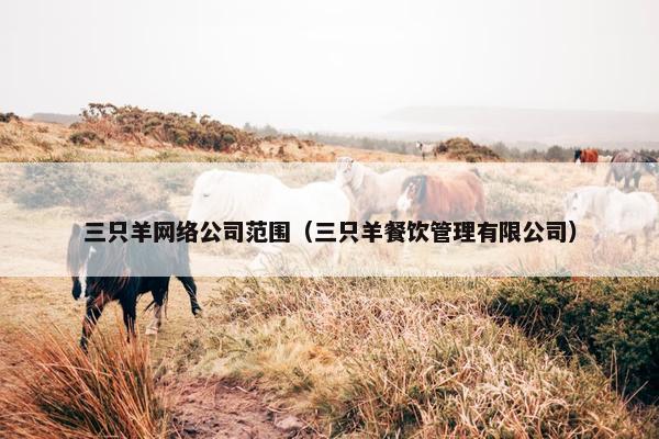 三只羊网络公司范围（三只羊餐饮管理有限公司）
